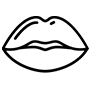 icon-lipshading